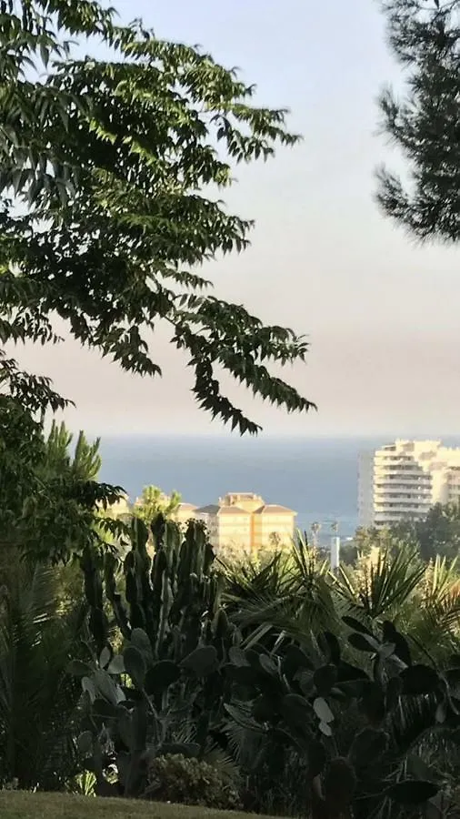 Estudio Vacacional Benalmadena Playa İspanya